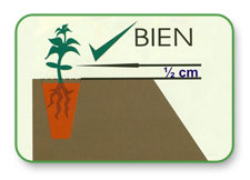 Figura 13